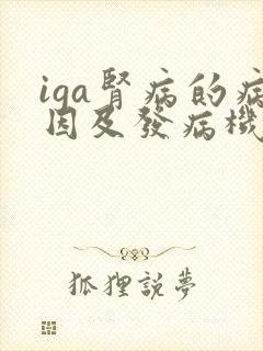 iga肾病的病因及发病机制