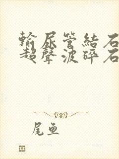 输尿管结石体外超声波碎石多少钱