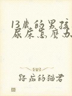 13岁的男孩还尿床怎么办