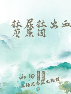 拉尿拉出血是什么原因