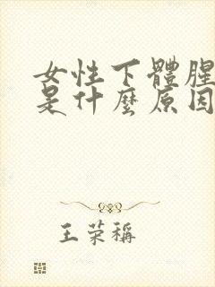 女性下体腥味重是什么原因引起的