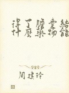 得了胆囊结石有什么药物能排石吗