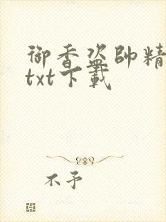 御香盗帅精校版txt下载