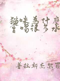 猫咪为什么每天会喝很多水尿很少