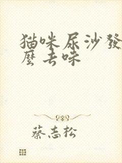 猫咪尿沙发上怎么去味