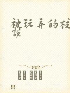 被玩弄的校花小说