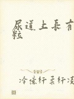 尿道上长有小肉粒