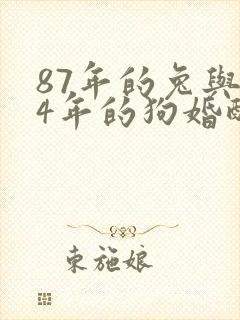 87年的兔与94年的狗婚配如何