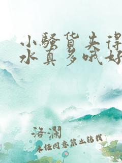 小骚货夹得真紧水真多哦好爽