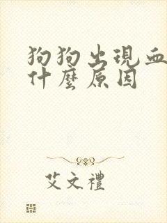 狗狗出现血尿是什么原因