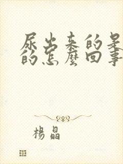 尿出来的是红色的怎么回事