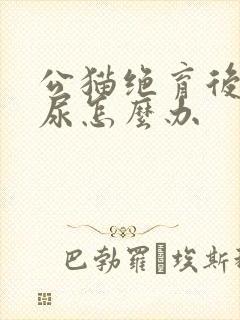 公猫绝育后还乱尿怎么办