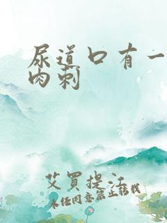 尿道口有一排小肉刺