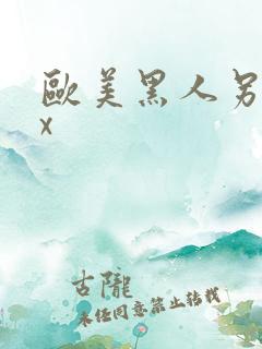 欧美黑人另类xx