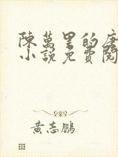 陈万里的唐嫣然小说免费阅读