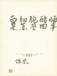 白细胞酯酶阳性是怎么回事