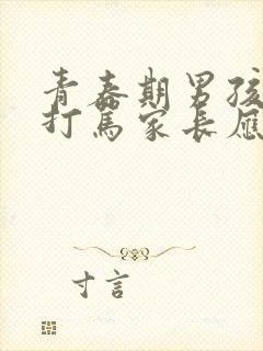 青春期男孩叛逆打骂家长应该怎么教育?