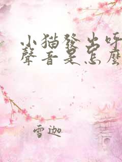 小猫发出呼呼的声音是怎么回事