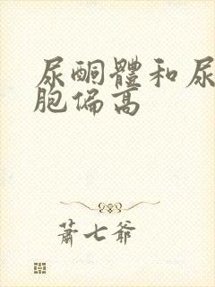 尿酮体和尿白细胞偏高