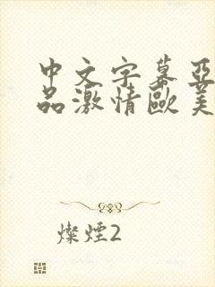 中文字幕亚洲精品激情欧美