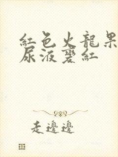 红色火龙果吃了尿液变红