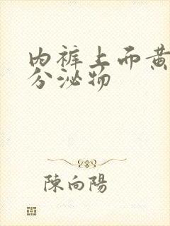 内裤上面黄色的分泌物