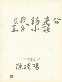 《我的老公是冥王》小说