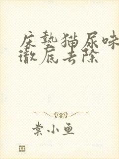 床垫猫尿味怎么彻底去除