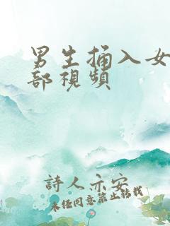 男生捅入女生阴部视频