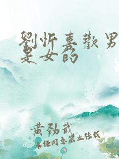 刘忻喜欢男的还是女的