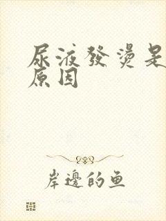 尿液发烫是什么原因