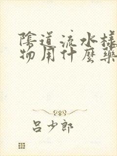 阴道流水样分泌物用什么药