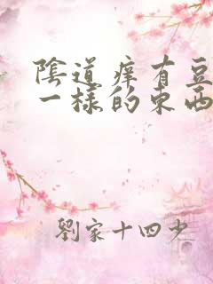 阴道痒有豆腐渣一样的东西