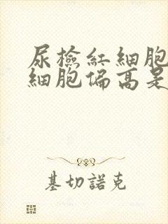 尿检红细胞和白细胞偏高是怎么回事