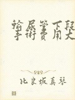 输尿管下段结石手术费用大概多少