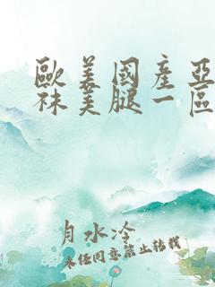 欧美国产亚洲丝袜美腿一区