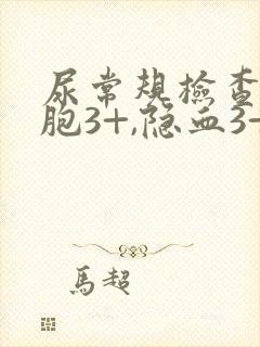 尿常规检查白细胞3+,隐血3+