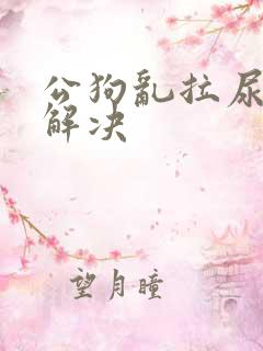 公狗乱拉尿怎么解决