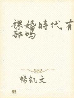 裸婚时代有第二部吗