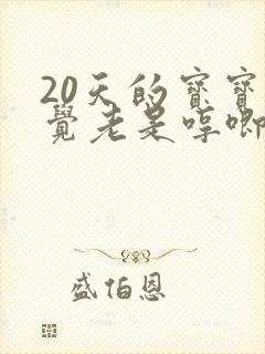 20天的宝宝睡觉老是哼唧使劲睡不踏实