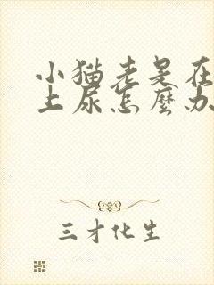 小猫老是在沙发上尿怎么办