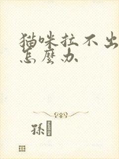 猫咪拉不出屎尿怎么办