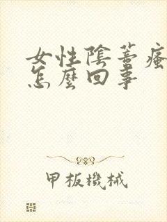 女性阴蒂瘙痒痛怎么回事