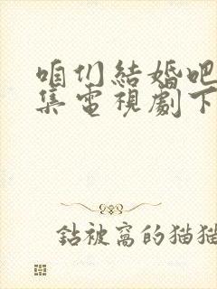 咱们结婚吧50集电视剧下载