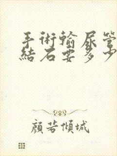 手术输尿管里有结石要多少钱