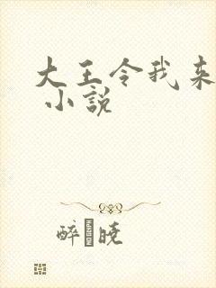 大王令我来巡山 小说