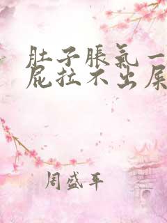 肚子胀气一直放屁拉不出屎