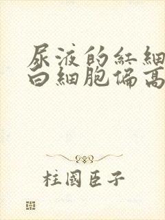 尿液的红细胞和白细胞偏高