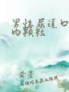 男性尿道口有小肉颗粒