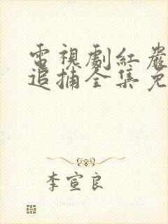 电视剧红岩下的追捕全集免费